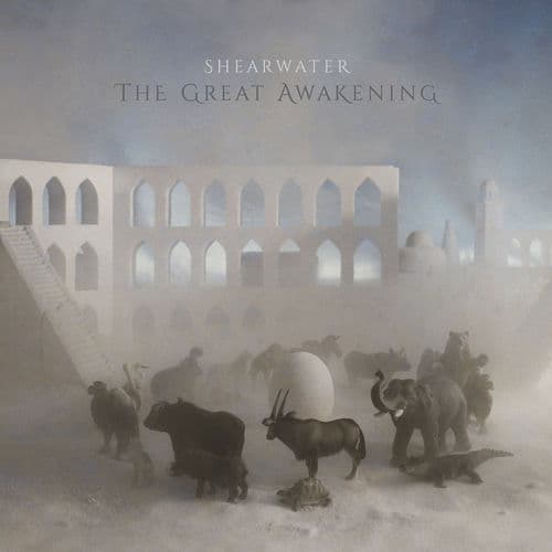 The Great Awakening — Shearwater