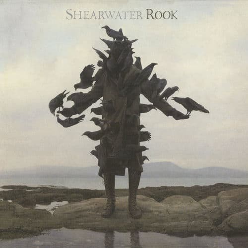 Rook — Shearwater