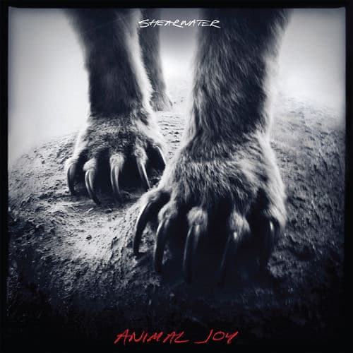 Animal Joy — Shearwater