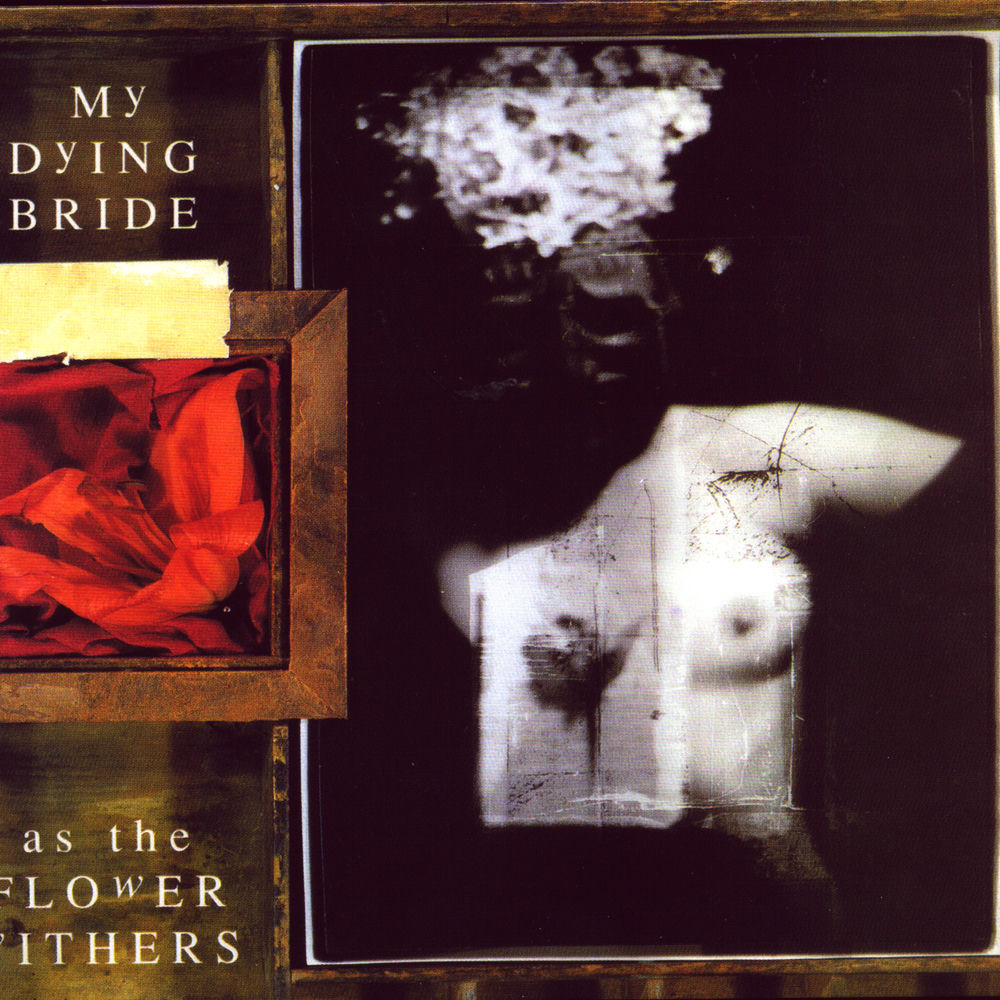 As the Flowers Withers — My Dying Bride