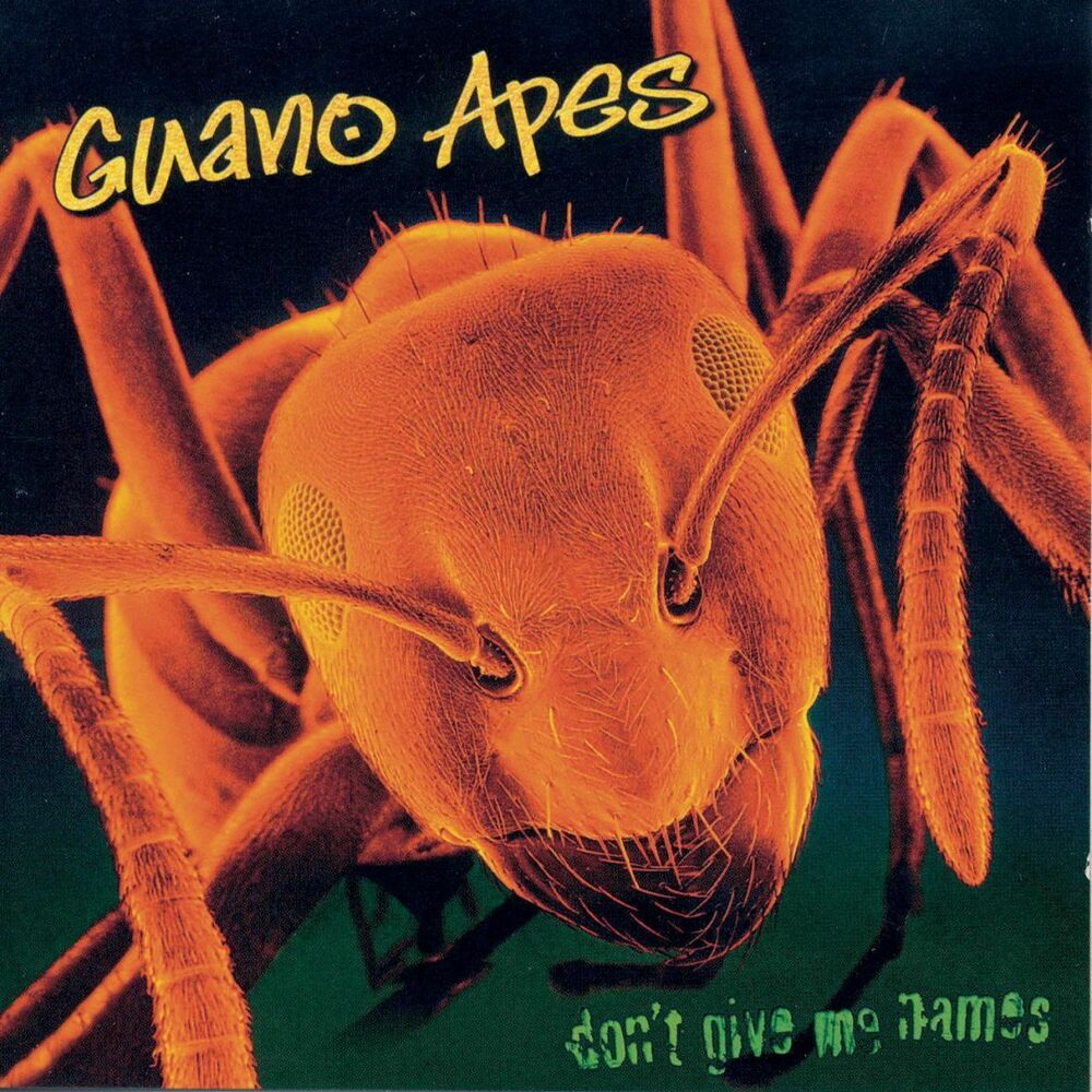 Don't Give Me Names — Guano Apes