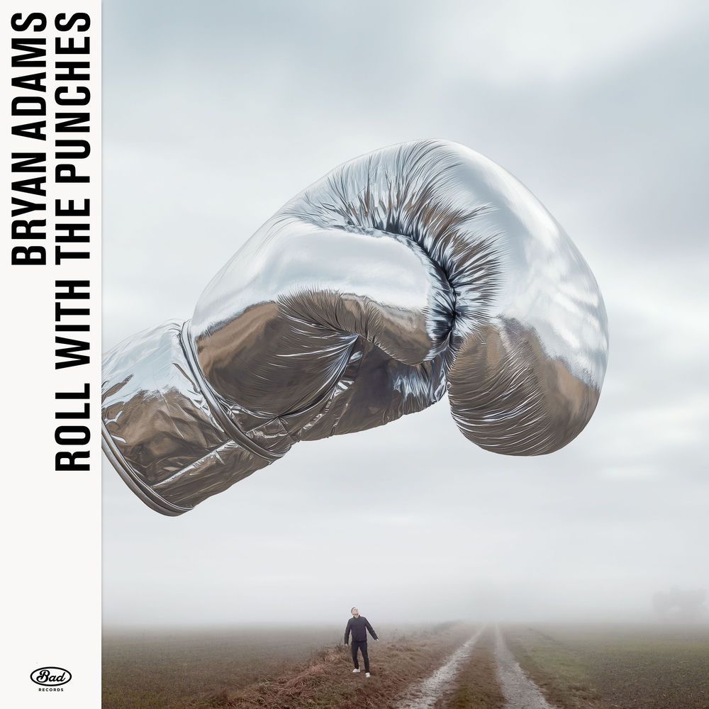 Roll With The Punches — Bryan Adams