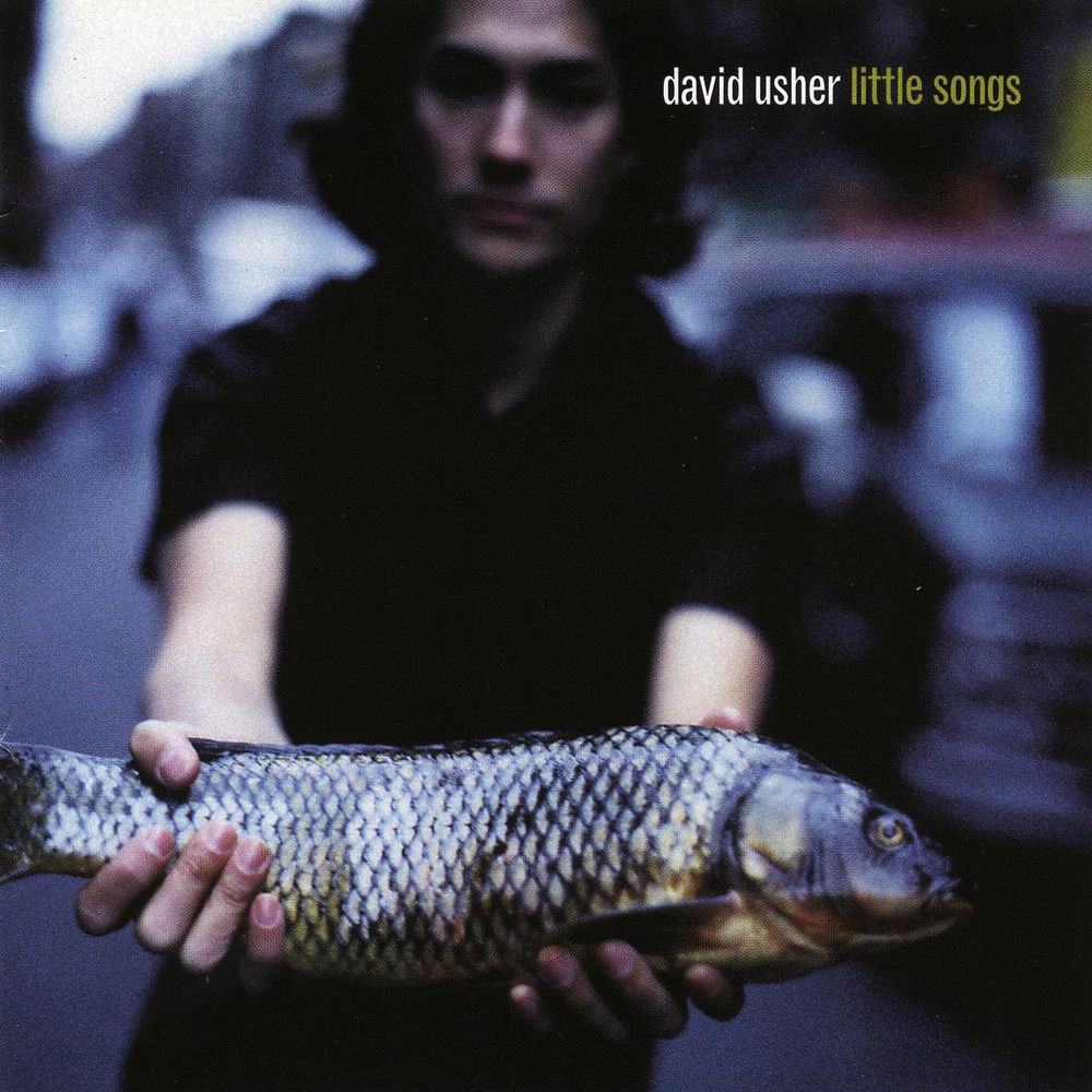 Little Songs — David Usher