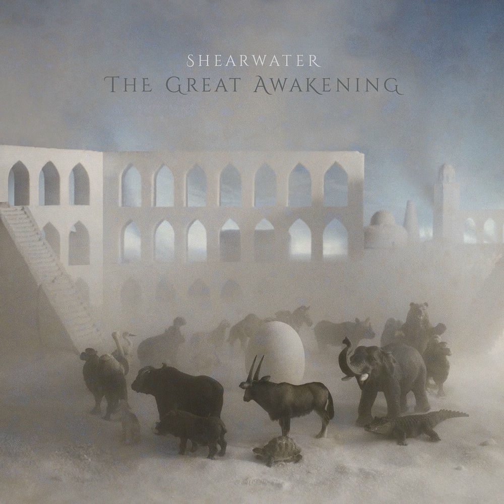 The Great Awakening — Shearwater