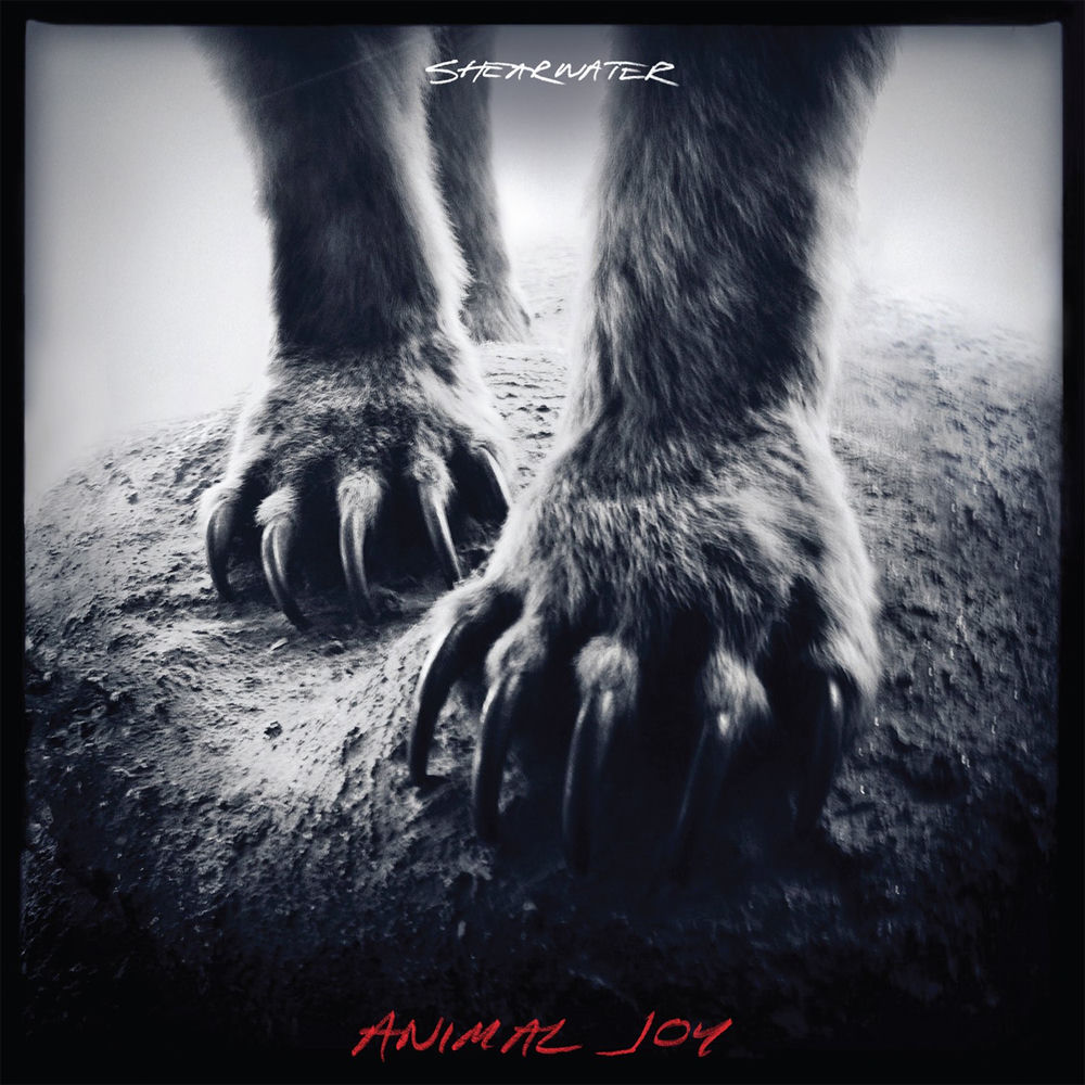 Animal Joy — Shearwater