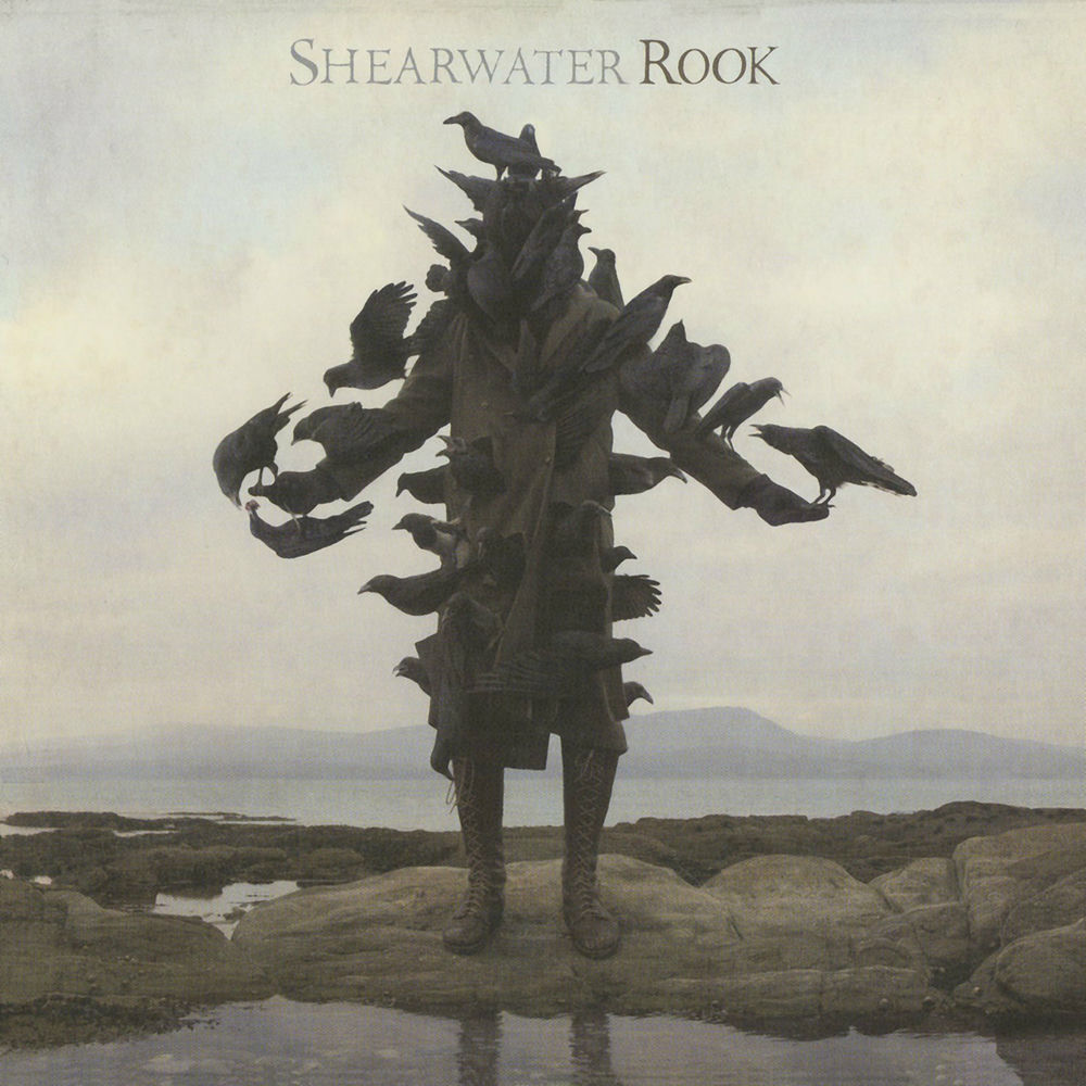 Rook — Shearwater