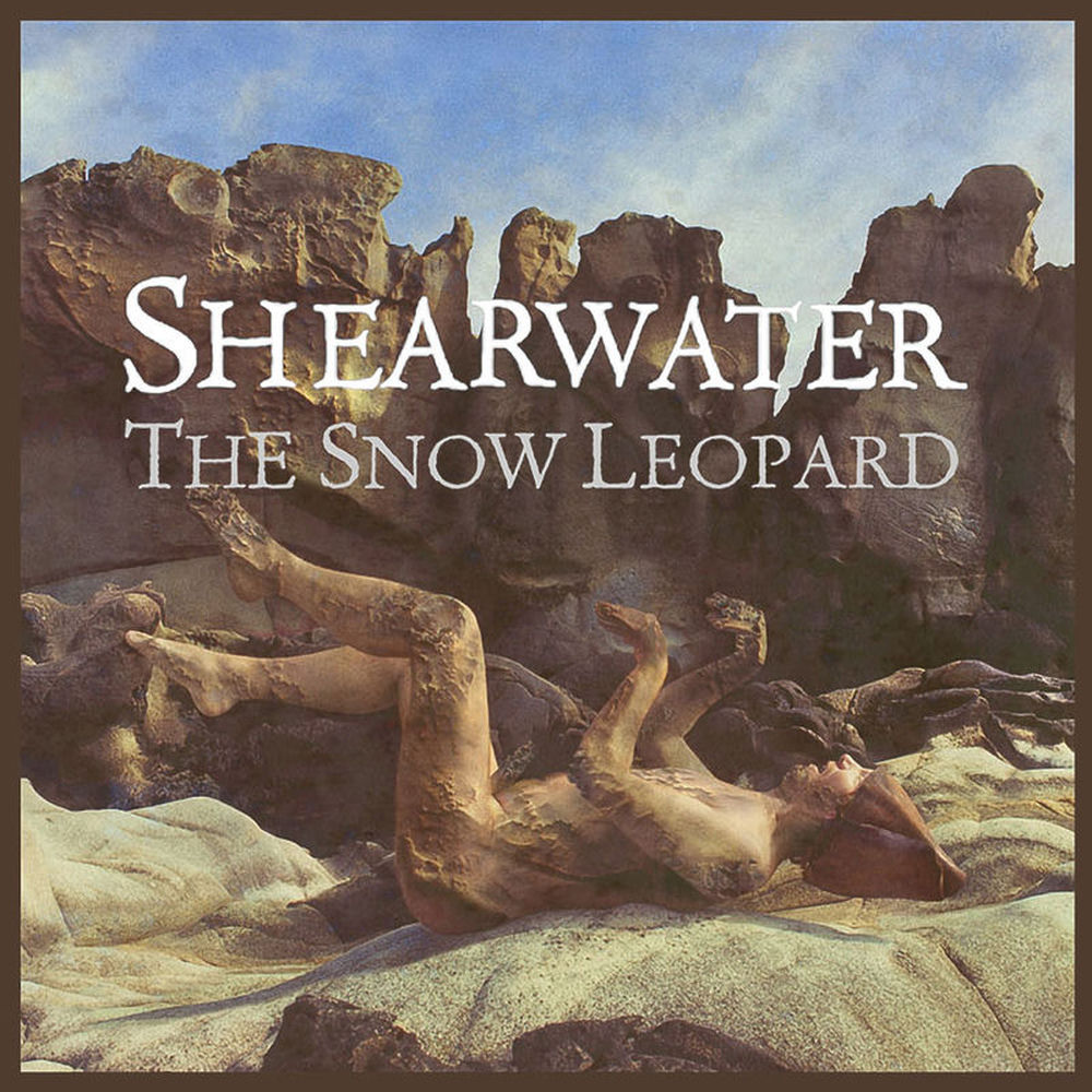 The Snow Leopard — Shearwater
