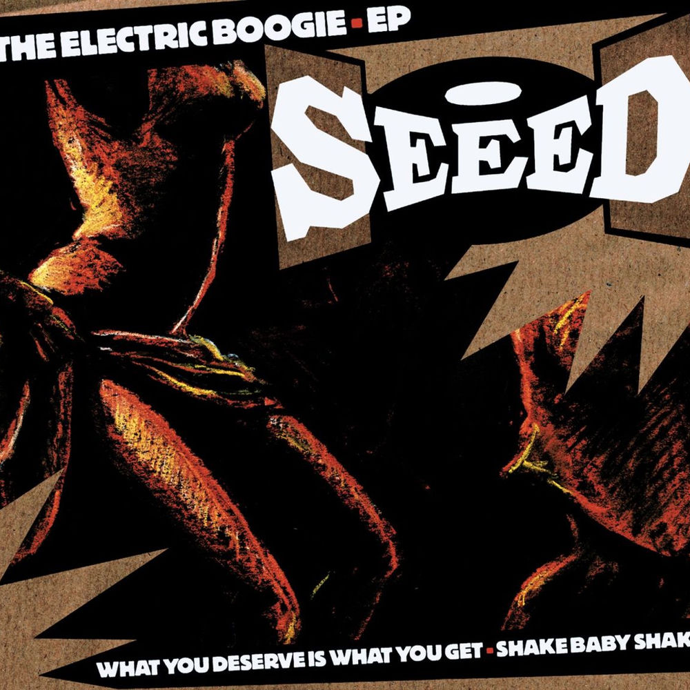What You Deserve Is What You Get (Special Edition) — Seeed